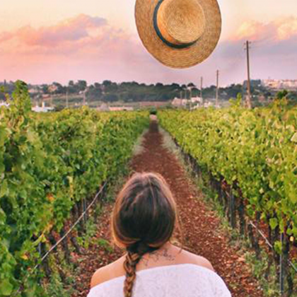 Visita in Cantina e Degustazione dei Vini - "I Pastini"